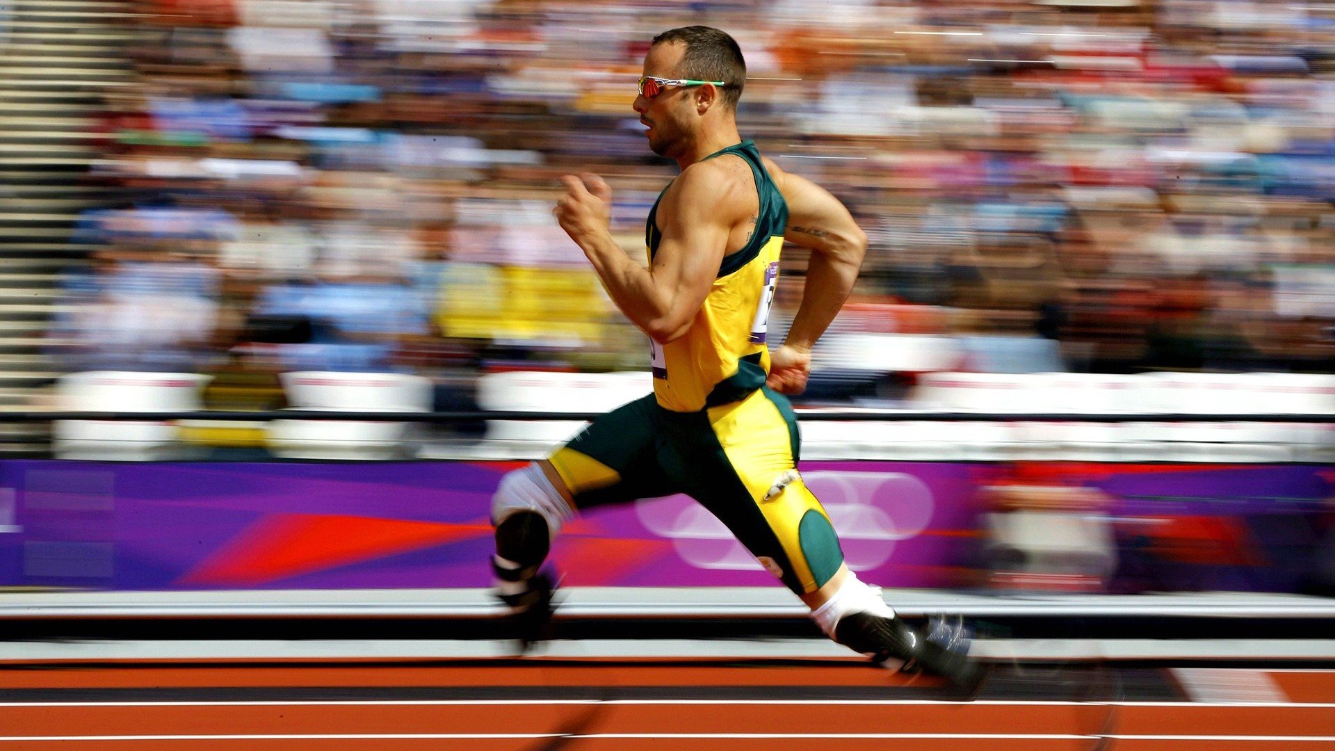 赛道上的绝对统治,红牛车队碾压索伯,塞恩斯高光表现诠释实力差距